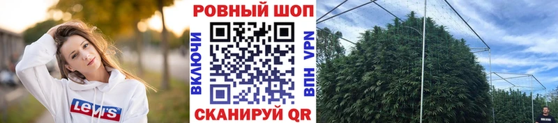 Виды наркотиков купить Кузнецк Канабис  Альфа ПВП  COCAIN  Бутират  Меф  ГАШИШ 