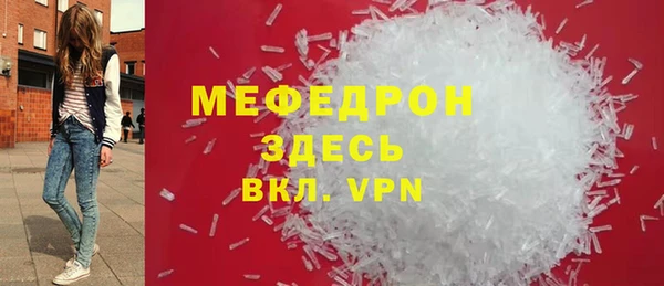 индика Богородицк