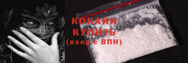 индика Богородицк