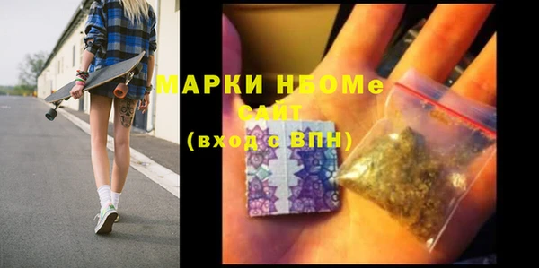 индика Богородицк