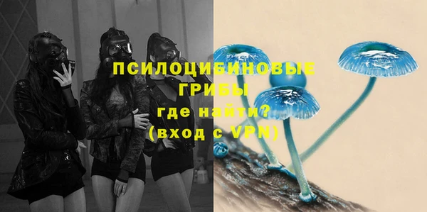 индика Богородицк