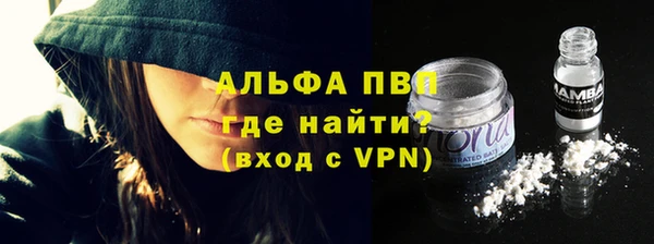 индика Богородицк