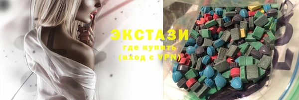 индика Богородицк