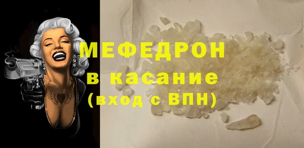 индика Богородицк
