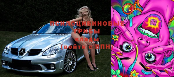 дурь Богданович
