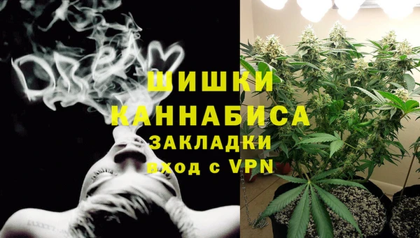 индика Богородицк
