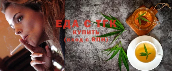 индика Богородицк