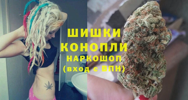 дурь Богданович