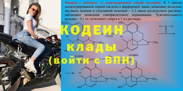 индика Богородицк
