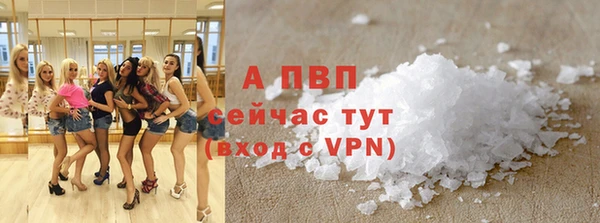 дурь Богданович