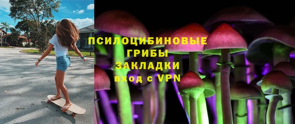 индика Богородицк