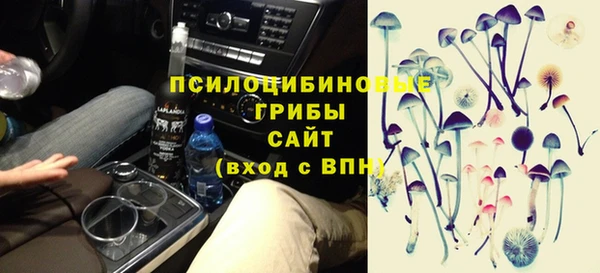 дурь Богданович
