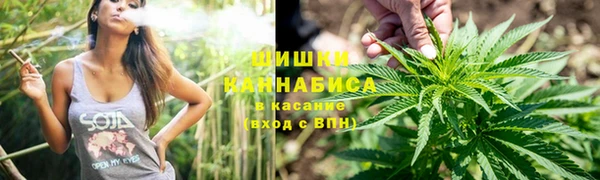 дурь Богданович