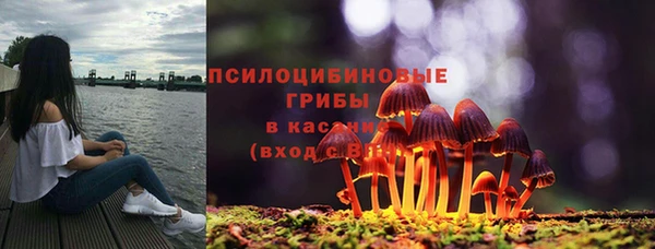 индика Богородицк