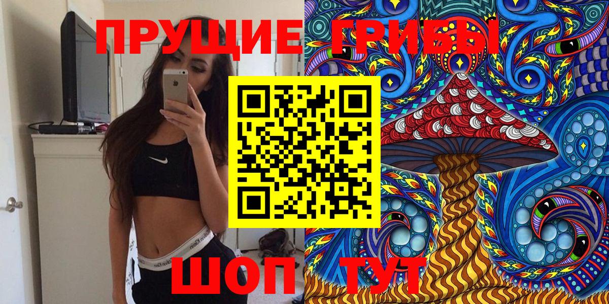 Псилоцибиновые грибы мицелий Кузнецк