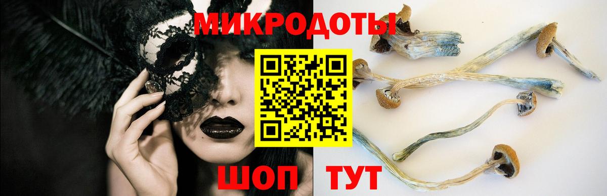 Кузнецк  Галлюциногенные грибы Magic Shrooms  Вход с VPN 